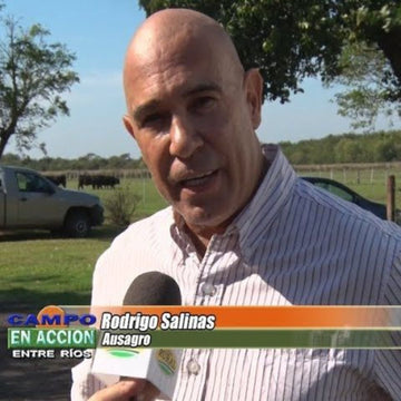 <strong>Siempre tratando de estar </strong><em>a la vanguardia</em>